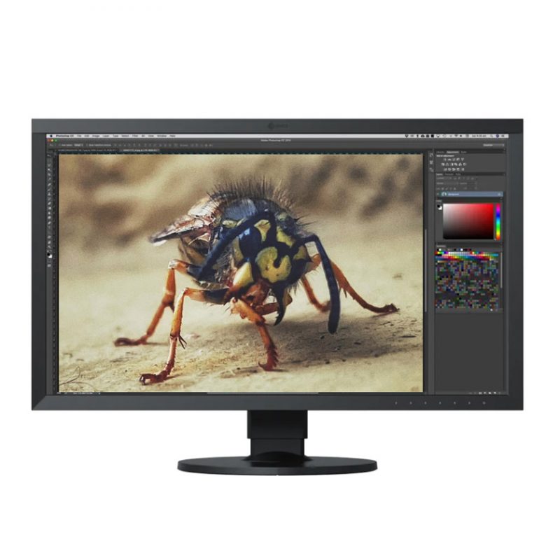 hire eizo monitor dublin