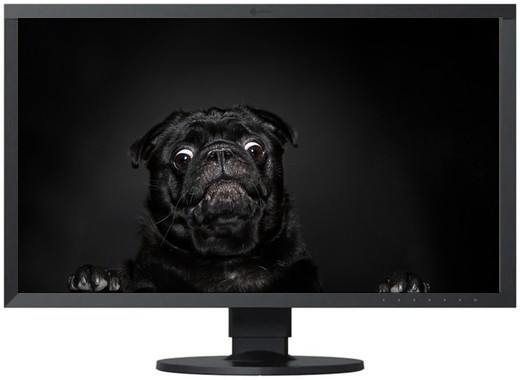 Eizo 27 inch 4K monitor, hire from DigiOp Dublin